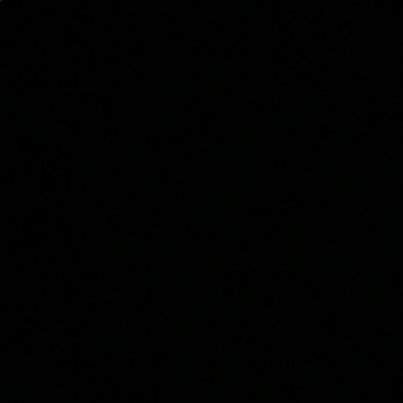 Meet your Posher, Peyton - Picture 1 of 1